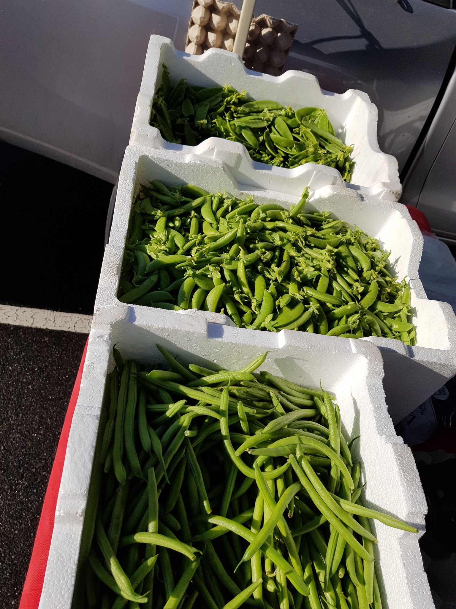 Blackwood Forest Farm Gippsland Weekly Farmers Market